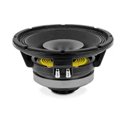 ALTAVOZ 10CX300/Fe 8 OH