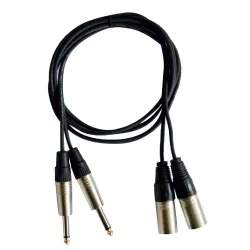 HILEC - CABLE 2 JACK 6.3 MONO A 2 XLR MACHO 1.5m HILEC