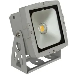BRITEQ - LDP-COBWASH 50CW 50W 5600K IP65 BRITEQ