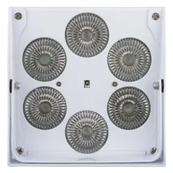 JBSYSTEMS - ACCU COLOR WHITE FOCO LED 6x10W RGBWA JBSYSTEMS (BATERÍA INCL.)