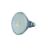 DTL - LÁMPARA PAR-38 70 LEDS AMARILLA 240V 4W