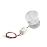 QUARKPRO LED - TRISPOT LED 3x1W DC350mA BLANCO FRÍO