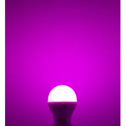 BOMBILLA E27 6W RGB+CCT LED MIBOXER