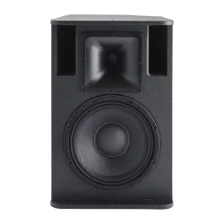 AUDIOPHONY - SLINE 110B ALTAVOZ PASIVO 10" 250Wrms NEGRO AUDIOPHONY