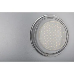 BRITEQ - LED UV-GUN LUZ NEGRA 100W BRITEQ