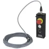 BRITEQ - RICO REMOTE CONTROL REMOTO PARA RICO-V4 / V8 BRITEQ