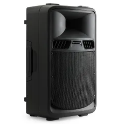ALTAVOZ PASIVO 10\" 250W RMS SR10P AUDIOPHONY
