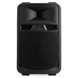 ALTAVOZ PASIVO 10\" 250W RMS SR10P AUDIOPHONY