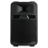 ALTAVOZ PASIVO 10\" 250W RMS SR10P AUDIOPHONY