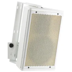 ALTAVOZ PASIVO 10\" 250W RMS S10W AUDIOPHONY