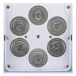 FOCO LED 6x10w RGBWA BATERIA ACCU COLOR-BLANCO JBSYSTEMS