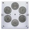 FOCO LED 6x10w RGBWA BATERIA ACCU COLOR-BLANCO JBSYSTEMS
