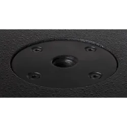 JBSYSTEMS VIBE-15SUB MkII SISTEMA GRAVES 15\"
