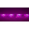 JBSYSTEMS LSI-30RGB-5050-IP65-5M