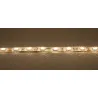 JBSYSTEMS LSI-120WW-3528-IP65-5M
