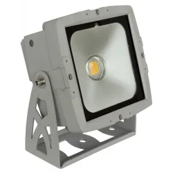 BRITEQ LDP-COBWASH 50CW