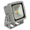 BRITEQ LDP-COBWASH 50CW