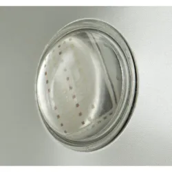 BRITEQ LDP-COBWASH 60TC