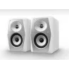 PIONEER DJ VM-50 W