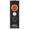 BRITEQ RICO-REMOTE