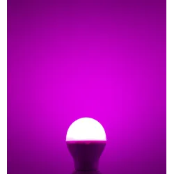 MI-LIGHT LED BULB RGB+CCT 6W