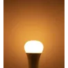 MI-LIGHT LED BULB RGB+CCT 12W