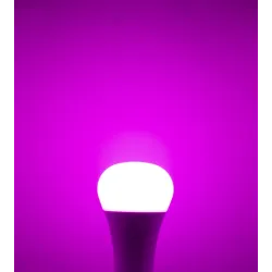 MI-LIGHT LED BULB RGB+CCT 12W