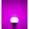 MI-LIGHT LED BULB RGB+CCT 12W