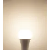 MI-LIGHT LED BULB RGB+CCT 12W