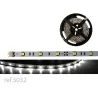 BOBINA LED FLEX 5m 30 LED/m 12V IP-20 B.FRIO