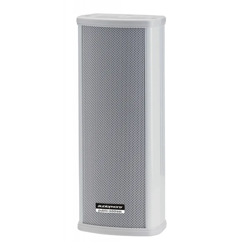 CLS220 COLUMNA 2 VIAS 2x2.5\"-10 /20W 100V IP44