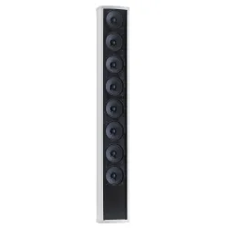 CLS880 COLUMNA 2 VIAS 8x2.5\"-40 /80W 100V IP44