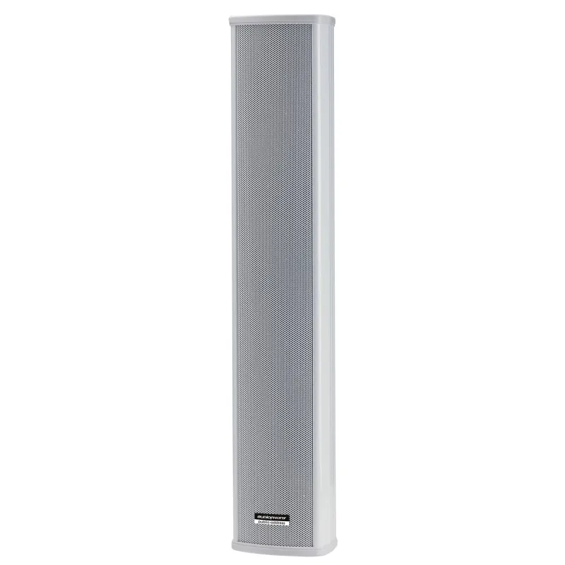 CLS660 COLUMNA 2 VIAS 6x2.5\"-30 /60W 100V IP44